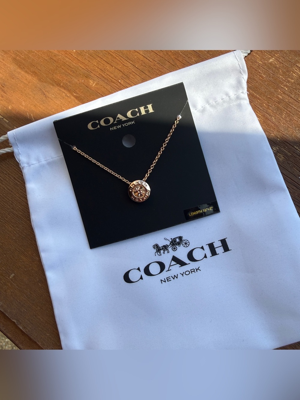 COACH 54514 16”+2” necklace rose gold